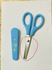 Kéo Xuân Bo CÓ NẮP Loại 5008 Chính Hãng (24 Cây/Hộp; 30 Hộp/Thùng)