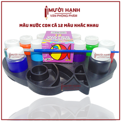 Win Q Màu Nước Con Cá W05 (40 Vĩ/ Thùng)