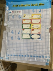 . Bao Decal Dán Kèm 10 Nhãn Tên 43x30cm 262 (50 Xấp/ Lốc; 200 Xấp/ Thùng)