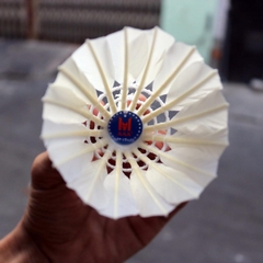 Ống Cầu Lông Đế Vải Galaxy Pro OGP12 (12 Quả/Ống; 50 Ống/ Thùng)