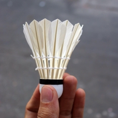 Ống Cầu Lông Đế Vải Galaxy Pro OGP12 (12 Quả/Ống; 50 Ống/ Thùng)