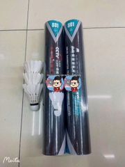 Ống Cầu Lông Amusi 801 (12 Quả/Ống; 50 Ống/ Thùng)