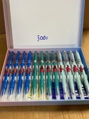 . Bút Máy Bấm Xóa Được (12 Cây/Hộp) 5008; 5012;5000;5002;5003;5005;5006;7005;4061