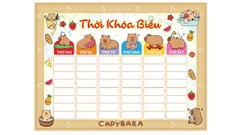 Thời Khóa Biểu A5 (3 Tờ/ Xấp)