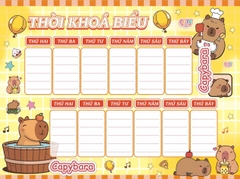 LS Thời Khóa Biểu LS (5 Tờ/ Xấp; 10 Xấp/ Bó; 100 Xấp/ Cục)