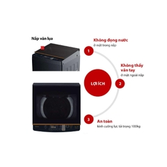 Máy Giặt Toshiba Inverter 10 Kg AW-DM1100JV(MK)