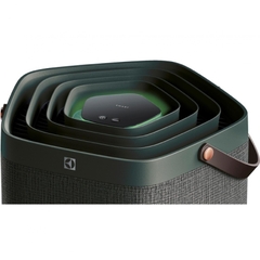 Máy lọc không khí Electrolux PA91-606DG