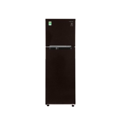 Tủ lạnh Samsung 256 lít 2 cửa Inverter  RT25M4032BY/SV