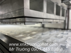 Máy hút định hình liên hoàn 3 trạm 7161  Trường Phát