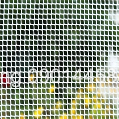 Máy đùn lưới nhựa OG-YZW75×30 khổ 2200mm