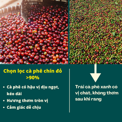 Cafe Hạt Arabica Cầu Đất Nguyên Chất (Rang Đậm)