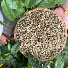 Cà phê nhân Culi S18