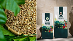 Cà phê nhân Moka Lụa Cầu Đất S18 (Chế biến ướt)