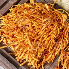 100g nấm đông trùng khô