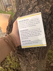 Cao Phục Cốt Nam hỗ trợ  xương khớp từ dược liệu thiên nhiên