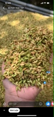 1kg cốm gạo tươi khẩu hang Nghệ An