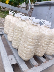 Bình 5 kg măng rừng muối