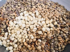 500g Bột đạm ngũ cốc bổ tuỷ cao cấp 20 hạt