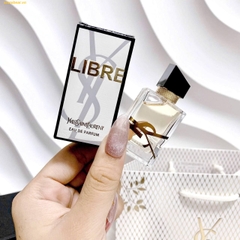 Set Son YSL 3 món