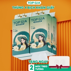 Giấy rút đáy treo tường Sắc Việt