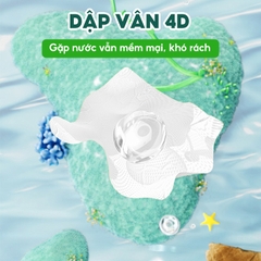 Giấy rút đáy treo tường Sắc Việt