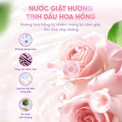 Nước giặt xả hương hoa hồng