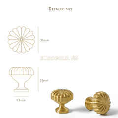 Núm Tủ Tròn Đồng Nguyên Chất BHG72 Eurogold