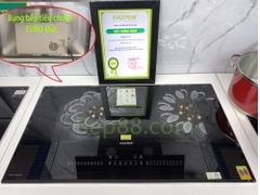 Bếp từ đôi Faster FS 828i
