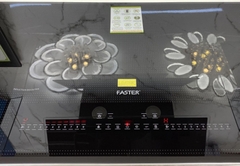 Bếp từ đôi Faster FS 828i
