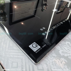 Bếp từ đôi Canzy 9999H