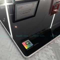 Bếp từ đôi CANZY 699 Plus