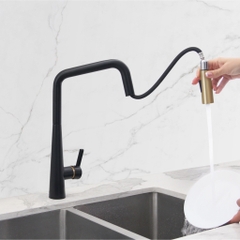 Vòi Nước INOX 304 EUF221DR Eurogold