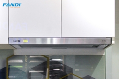 MÁY HÚT MÙI ÂM TỦ FANDI 7028 6028