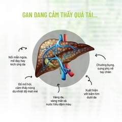 Bột Rau Củ Tự Nhiên Dalahouse