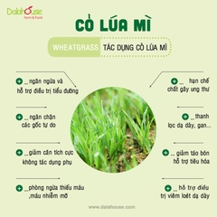 Bột Cỏ Lúa Mì Dalahouse Giảm Tiểu Đường