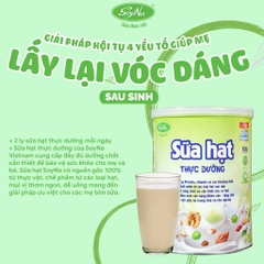sữa hạt thực dưỡng soyna - sữa thực vật soyna 10 loại hạt hàng chính hãng - Hộp giấy 480g