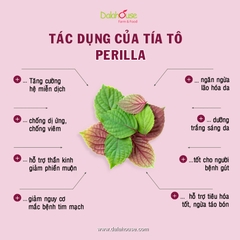 Bột Tía Tô Sấy Lạnh Dalahouse