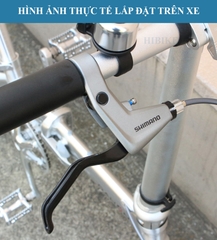 Tay Phanh Xe Đạp SHIMANO BL-T4000