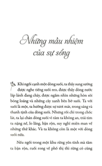 Hạnh Phúc Cầm Tay
