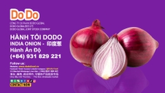 Indian Onion Exports