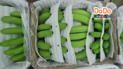 越南香蕉出口 -Vietnamese bananas : Banana exports