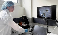 Phòng thí nghiệm nuôi não mini để vận hành máy tính