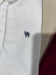 Áo Thun Polo Nam Xuất Hàn Dư Xịn Nhiều Màu-TPSRFAN1222