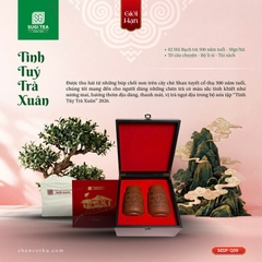 Q09- Tinh túy trà xuân