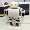 robot-nguoi-plen-2