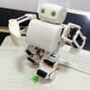 robot-nguoi-plen-2