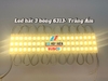 Led hắt 3 bóng 6313 ngoài trời 1.5W (Vỉ 20 thanh)