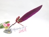 Harry Porter Quill Dip Pen Set 1