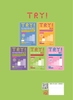 Try! Thi Năng Lực Nhật Ngữ N2 - Phát Triển Các Kỹ Năng Tiếng Nhật Từ Ngữ Pháp (Phiên Bản Tiếng Việt)