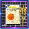 [FREESHIP] Combo Hajimeyou Nihongo Shokyu 2 (Giáo trình + Sách bài tập)